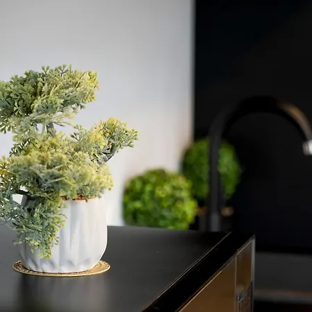 Ogrodowa Near Piotrkowska With Air Conditioning By Renters Apartman