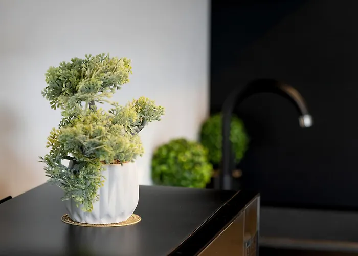 Ogrodowa Near Piotrkowska With Air Conditioning By Renters Apartman